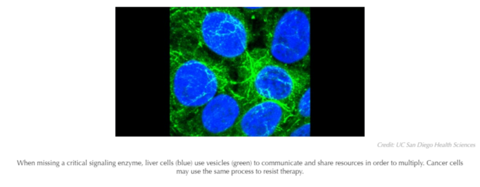 Tumor Cells