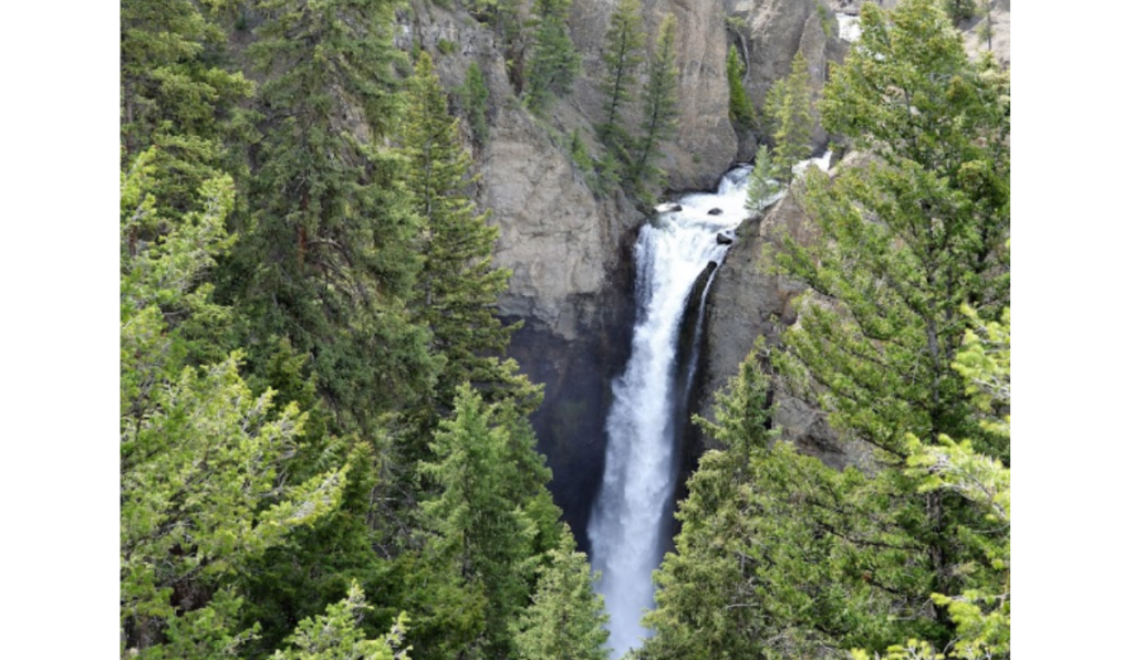 12 Must-See Things in Yellowstone National Park