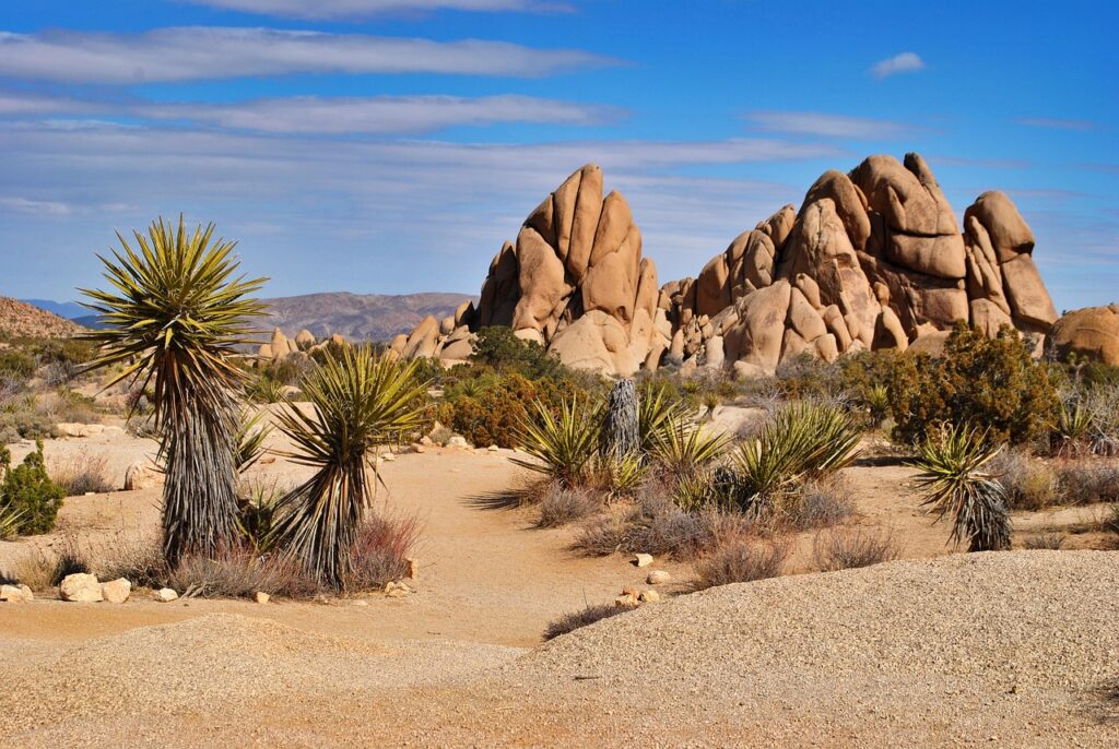 Best Place for RVing? Try Mojave National Preserve